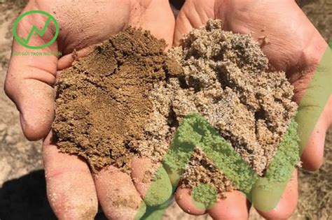 đất cát thích hợp trồng cây gì
